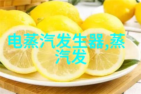 WNS型锅壳式燃气冷凝蒸汽锅炉