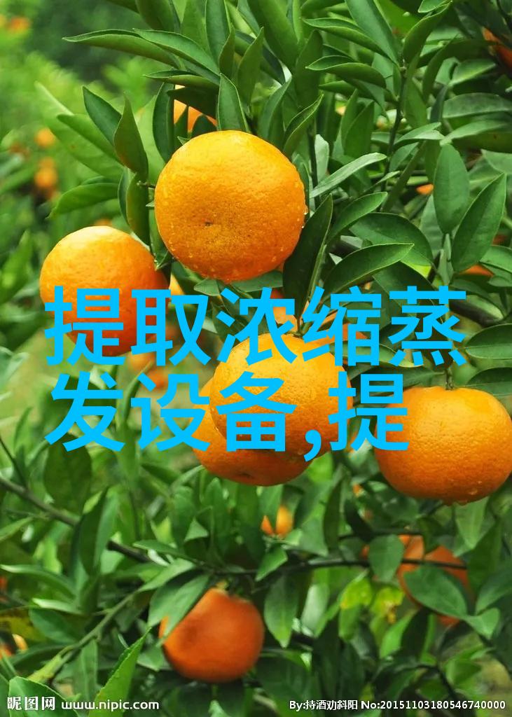 AV仓泵(TFG-100)