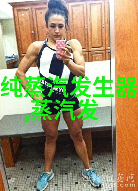 天鹿牌SZS型燃油燃气水管热水锅炉