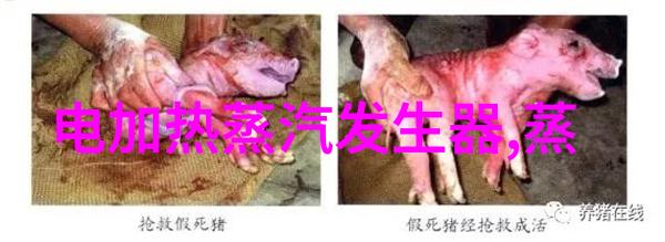 燃气锅炉如何清洁维修