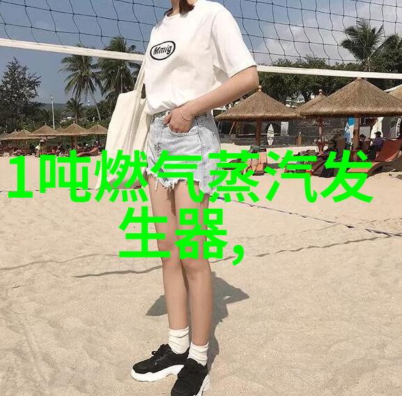 天鹿牌SZS型燃油燃气水管蒸汽锅炉