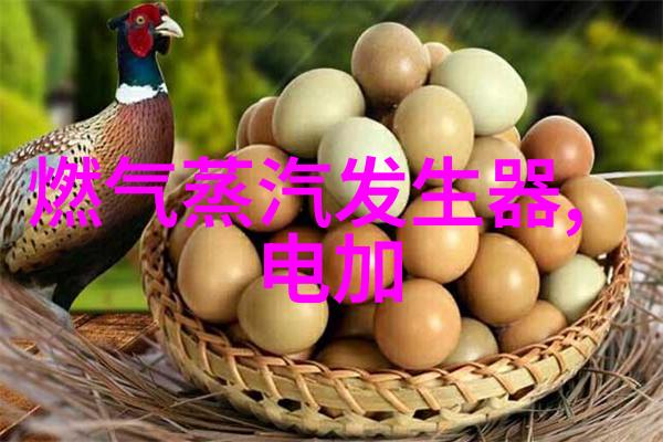 燃气锅炉的水垢现象及正常水位