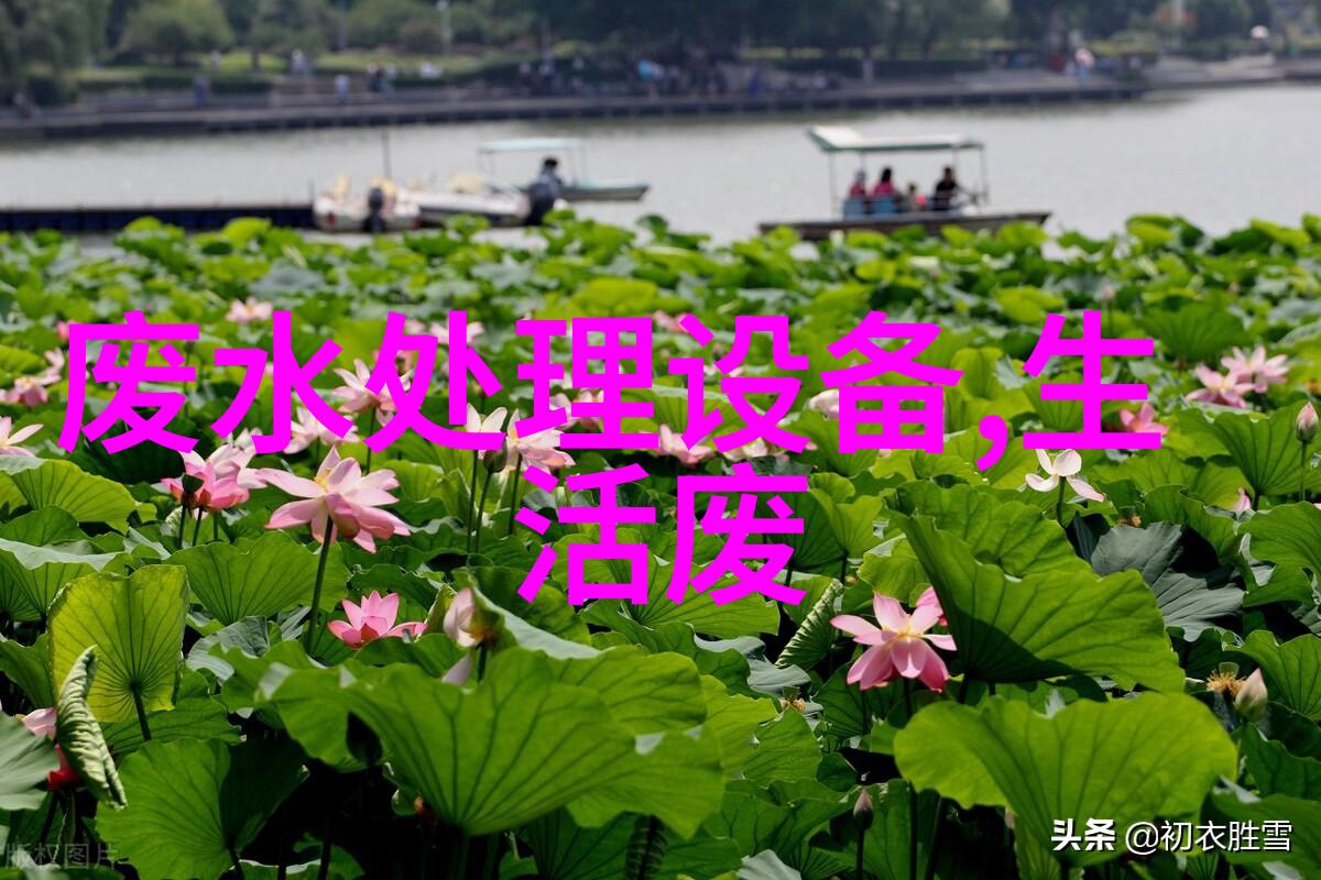 活性碳吸收装置的构造