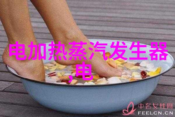 蒸汽发生器都有多少瓦